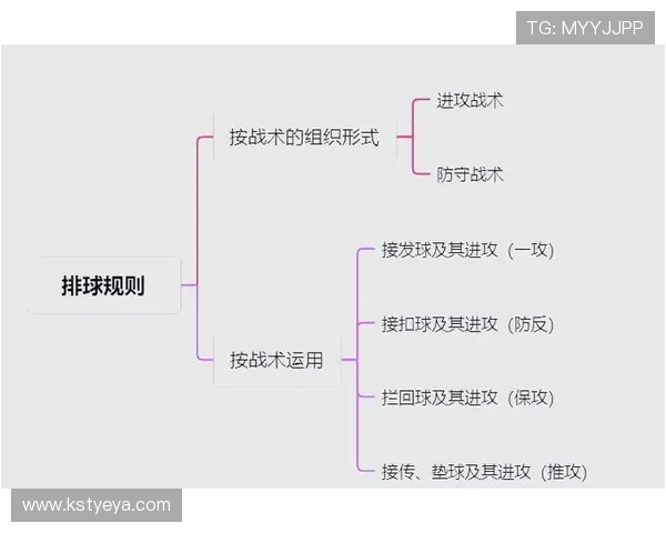 全国锦标赛分析：杭州排球队战术运用与表现深度解读