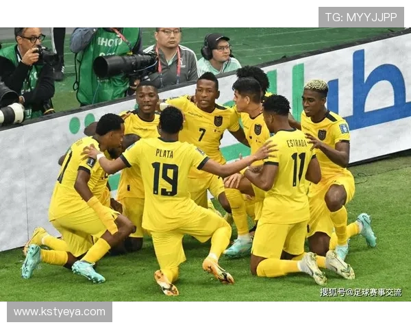 武汉羽毛球队在世界杯中的战术分析与表现评估